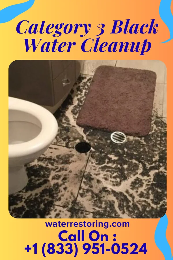 Category 3 Black Water Cleanup in Le Roy, IL