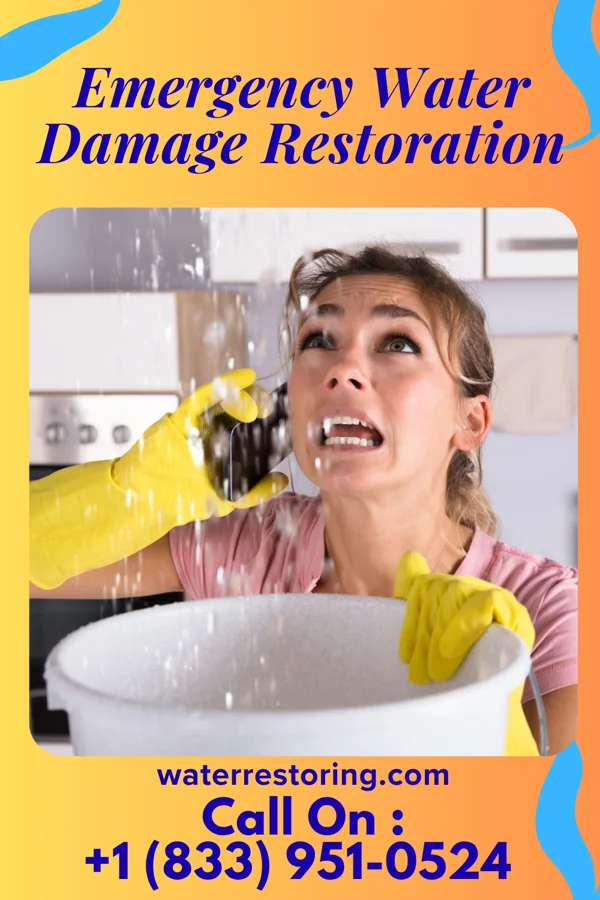 Emergency Water Damage Restoration in Le Roy, IL