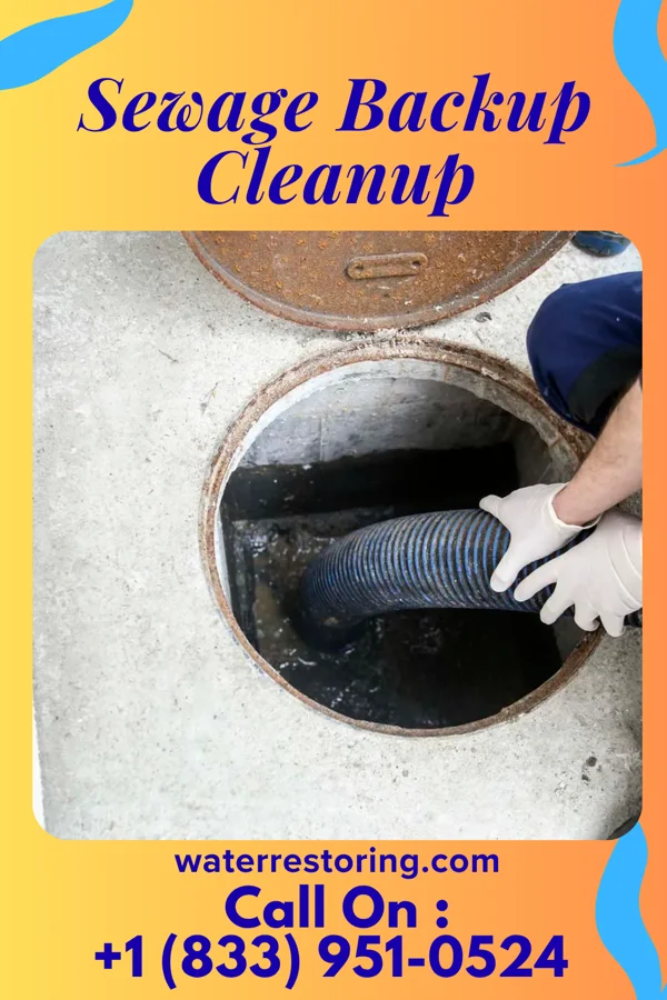 Sewage Backup Cleanup in Le Roy, IL